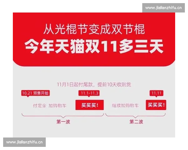 双11购物狂欢节揭秘：从优惠策略到消费趋势的全方位分析